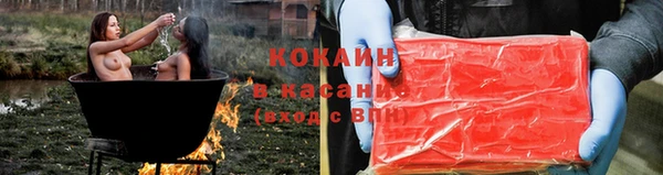 тгк Каменка