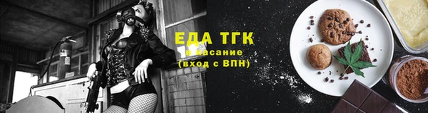 тгк Каменка