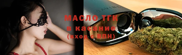 тгк Каменка