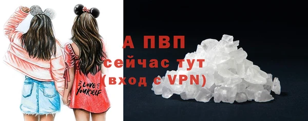прущие грибы Каменск-Шахтинский