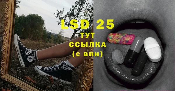 тгк Каменка