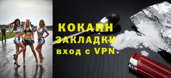прущие грибы Каменск-Шахтинский