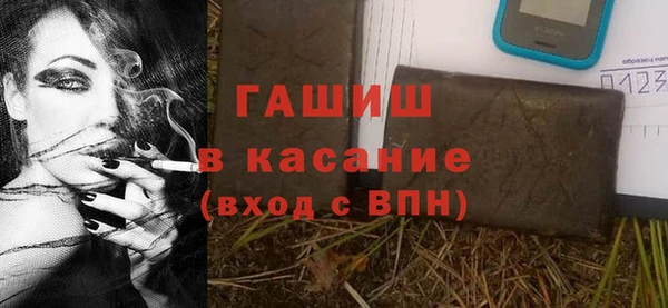тгк Каменка