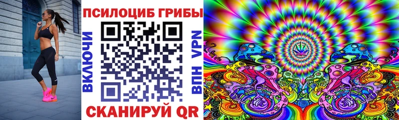 Псилоцибиновые грибы Magic Shrooms  Петропавловск-Камчатский 