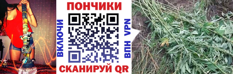 KRAKEN ССЫЛКА  наркошоп  Петропавловск-Камчатский  Марихуана семена 